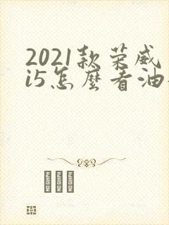 2021款荣威i5怎么看油耗