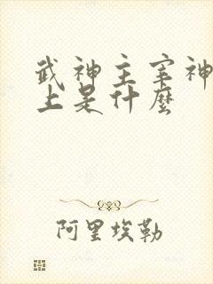 武神主宰神帝之上是什么