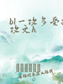 bl一攻多受总攻文h
