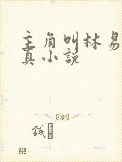 主角叫林易的修真小说