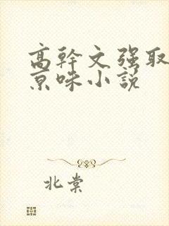 高干文强取豪夺京味小说