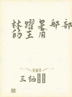 林跃是哪部小说的主角