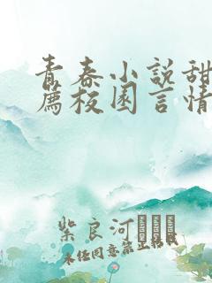 青春小说甜文推荐校园言情