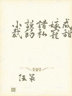 小说错嫁成婚总裁的私宠甜妻