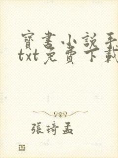 宝书小说手机网txt免费下载