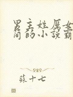 男主姓厉女主姓简的小说霸道总裁