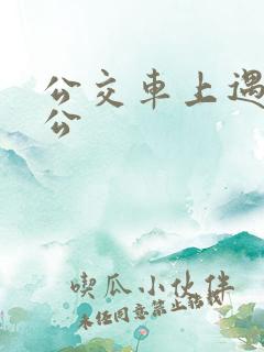 公交车上遇到公公