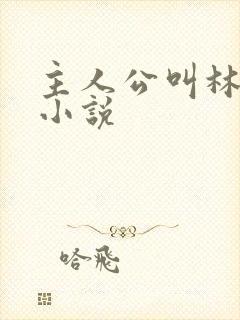 主人公叫林云的小说