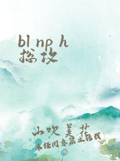 bl np h总攻