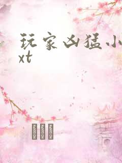玩家凶猛小说txt