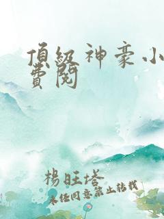 顶级神豪小说免费阅