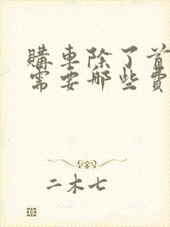 购车除了首付还需要哪些费用