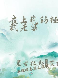 夜上我的极品总裁老婆