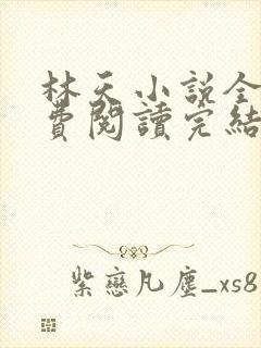 林天小说全文免费阅读完结篇