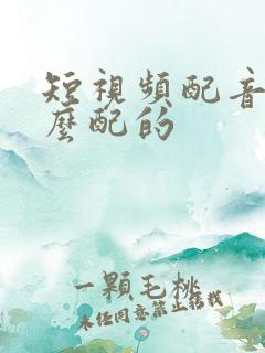 短视频配音是怎么配的