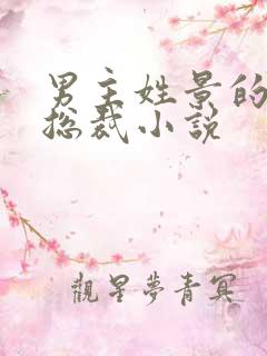 男主姓景的霸道总裁小说