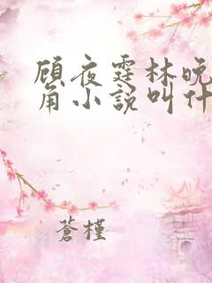 顾夜霆林晚晚配角小说叫什么名字
