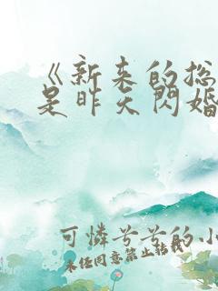 《新来的总裁竟是昨天闪婚老公》