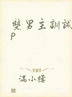 双男主训诫文sp
