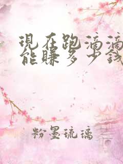 现在跑滴滴一天能赚多少钱
