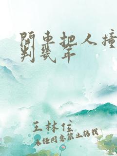开车把人撞死了判几年