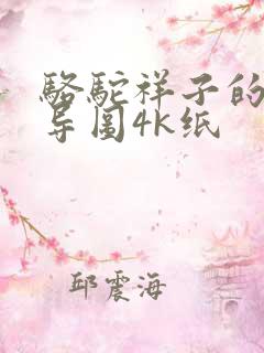 骆驼祥子的思维导图4k纸