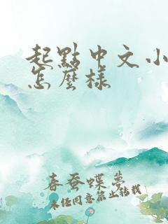 起点中文小说网怎么样