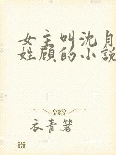 女主叫沈月男主姓顾的小说