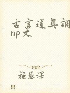 古言道具调教文np文