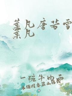 叶凡唐若雪医婿叶凡