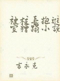 被校长抱进办公室糟蹋小说