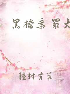 黑档案 罗大拿 黑档案 罗大拿