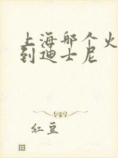 上海哪个火车站到迪士尼