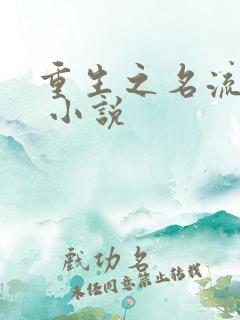 重生之名流巨星 小说