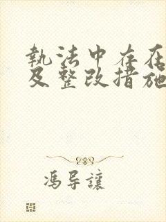 执法中存在问题及整改措施