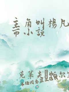 主角叫杨凡的都市小说