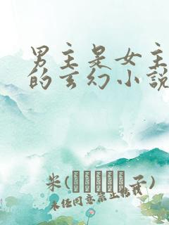 男主是女主师兄的玄幻小说