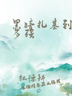 黑暗扎基到底有多强