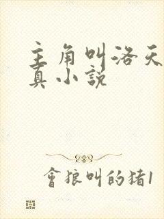 主角叫洛天的修真小说