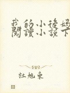 我的小后妈免费阅读小说下载