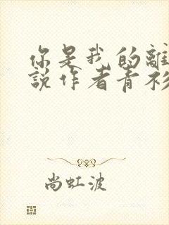你是我的离音小说作者青衫