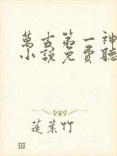 万古第一神有声小说免费听