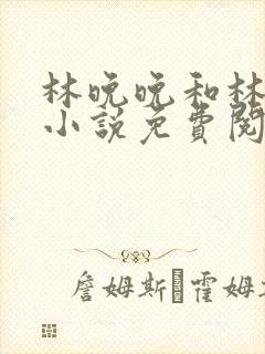 林晚晚和林潮生小说免费阅读笔趣阁