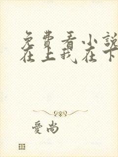 免费看小说总裁在上我在下