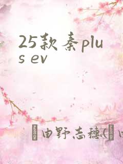 25款秦plus ev 25款秦plus ev
