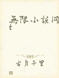 无限小说网txt