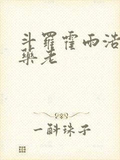 斗罗霍雨浩拜师药老