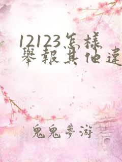 12123怎样举报其他违法车辆举报
