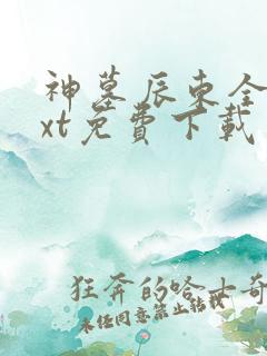神墓辰东全本txt免费下载