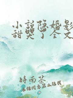 小说隐婚影帝后甜哭了全文阅读